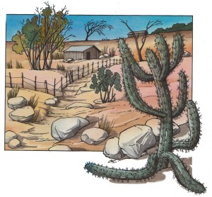 Sertao – LE BRÉSIL