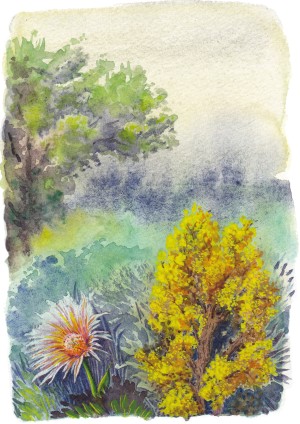 Image pour Travaux personnels