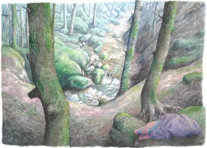 Forêt  de Chorsin 4