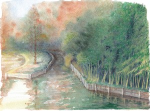 Hortillonages d'Amiens