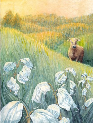 Muguets  nouveaux ...